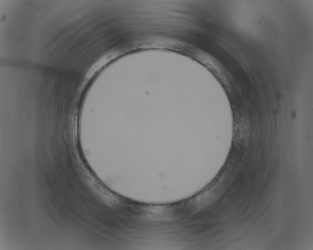 X0000087411130200705181351