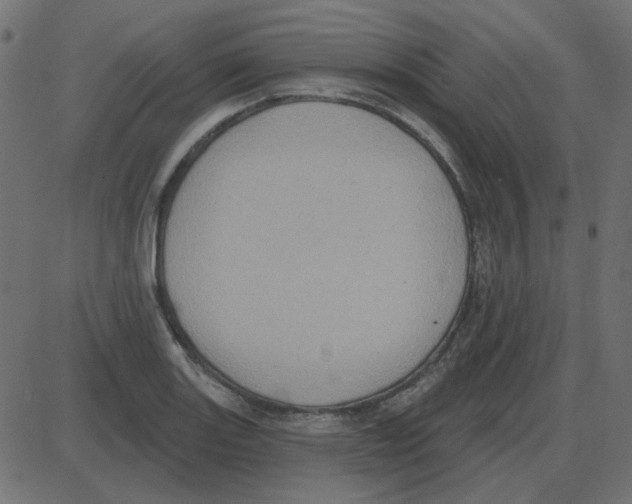 X0000087411131200705181351