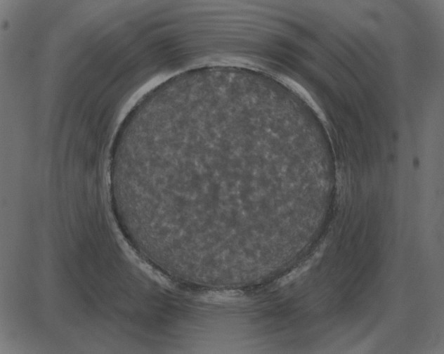 X0000087411133200705181351