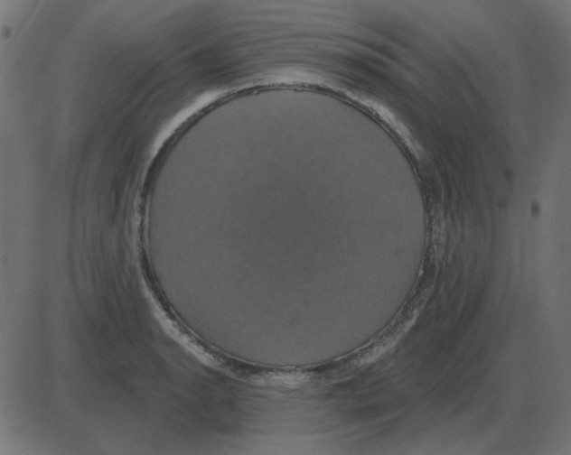 X0000087411134200705181351