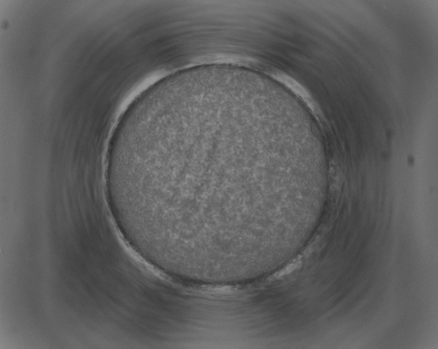 X0000087411135200705181351