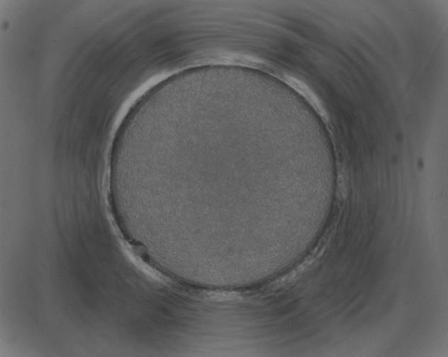 X0000087411136200705181351