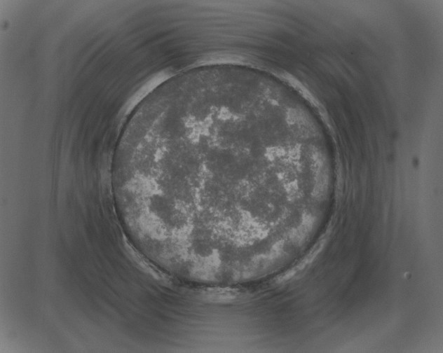 X0000087411137200705181351