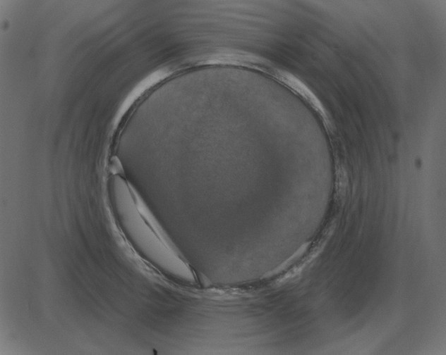 X0000087411138200705181351