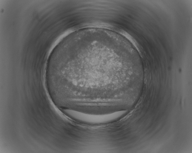 X0000087411139200705181351