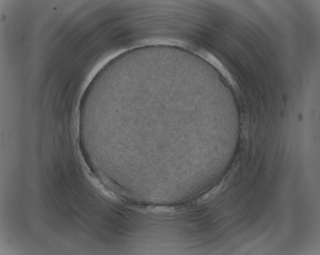 X0000087411140200705181351