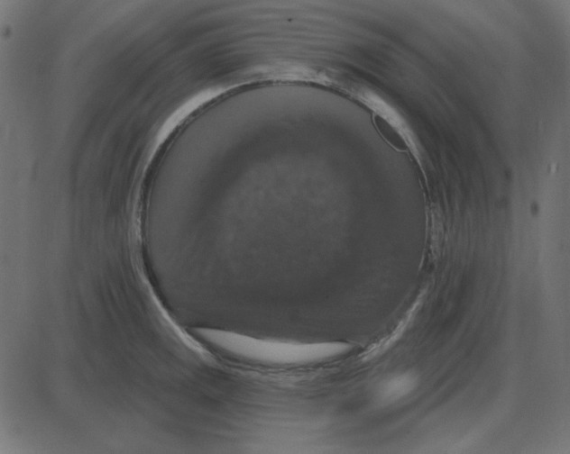 X0000087411141200705181351