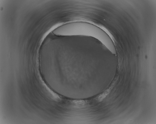 X0000087411142200705181351