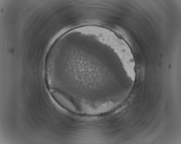 X0000087411143200705181351