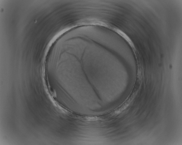 X0000087411144200705181351