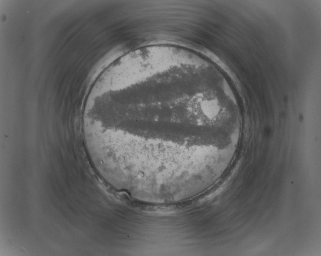 X0000087411145200705181351