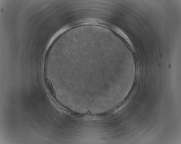 X0000087411146200705181351