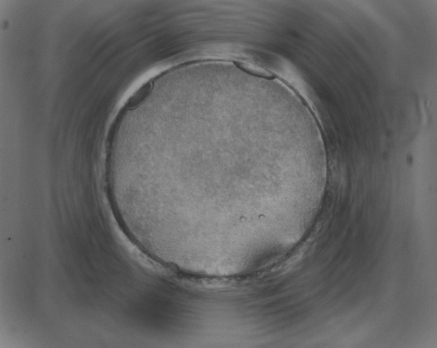 X0000087411147200705181351