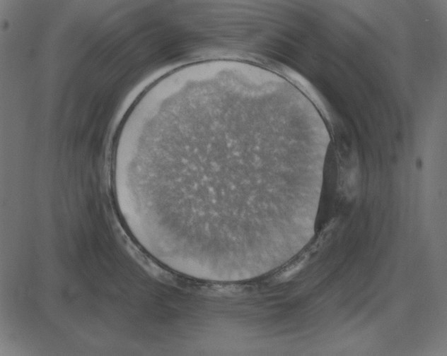 X0000087411148200705181351