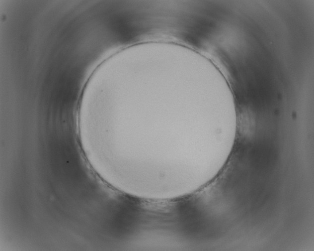 X0000087411150200705181351