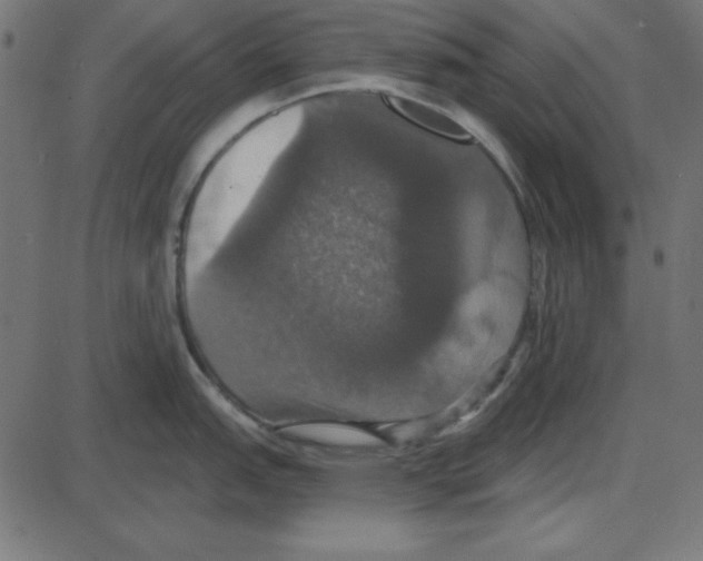 X0000087411151200705181351