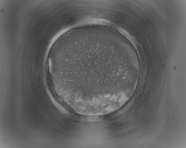 X0000087411152200705181351