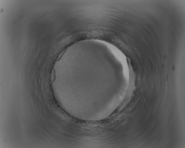 X0000087411153200705181350