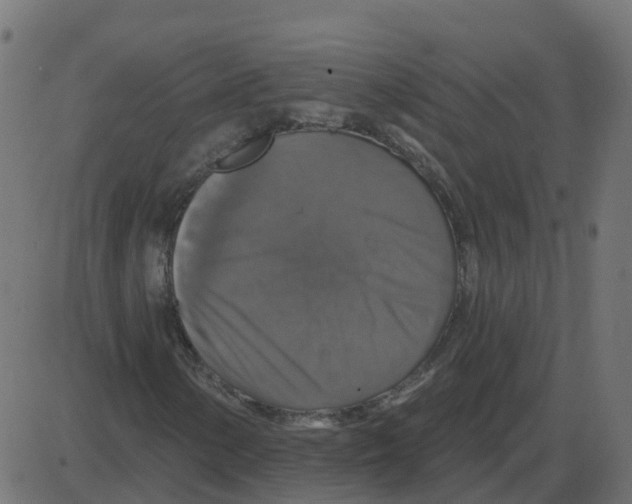 X0000087411154200705181350