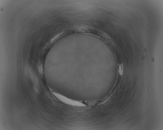 X0000087411155200705181350