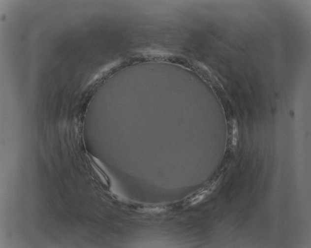 X0000087411157200705181350