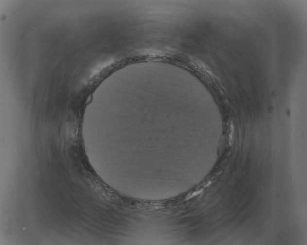 X0000087411158200705181350