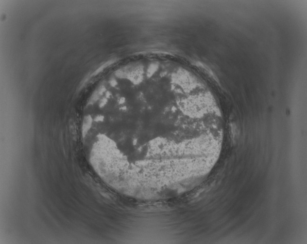 X0000087411159200705181350