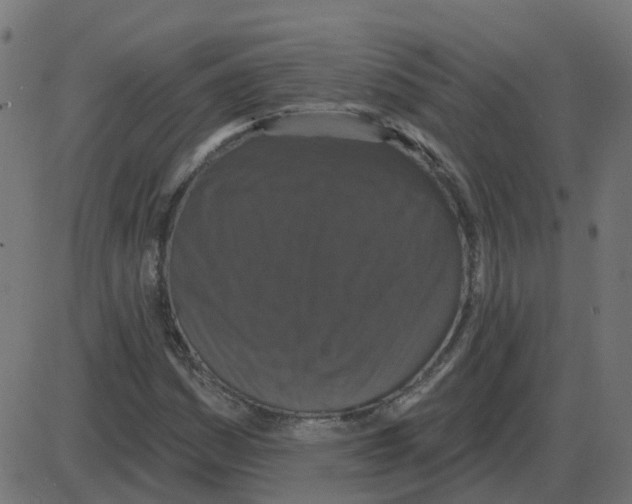 X0000087411161200705181350