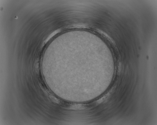 X0000087411162200705181350