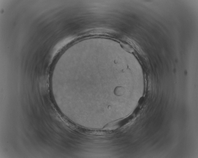 X0000087411164200705181350