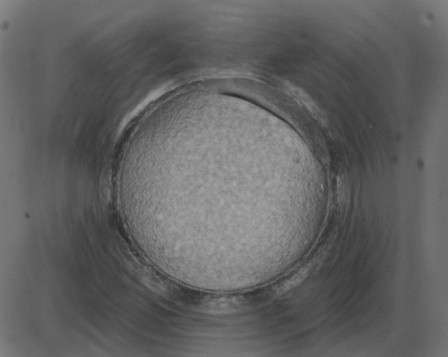 X0000087411165200705181350