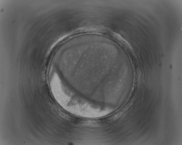 X0000087411166200705181350