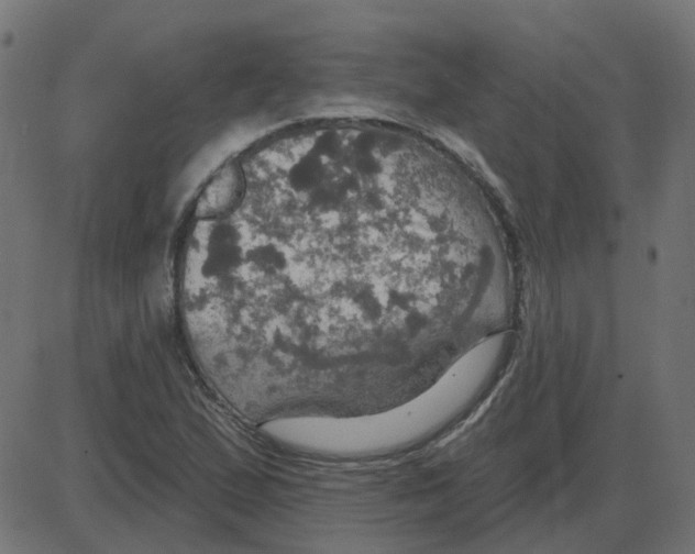 X0000087411167200705181350