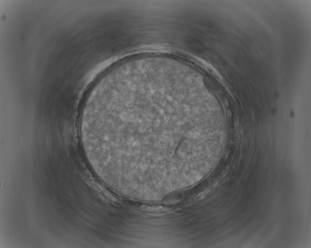 X0000087411168200705181350