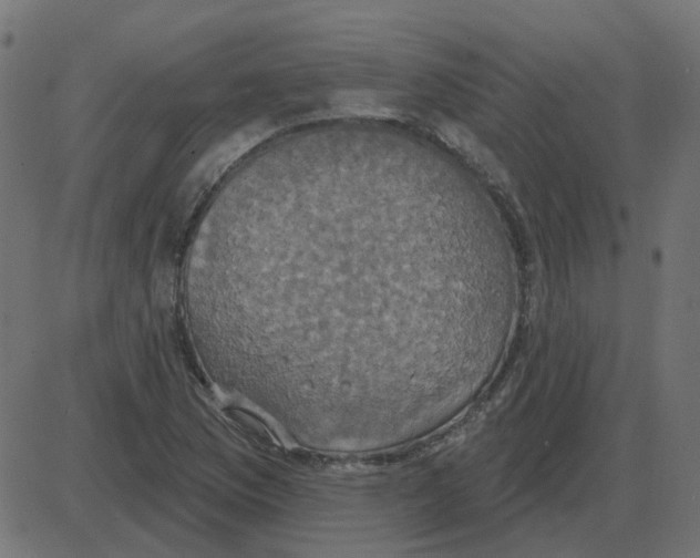 X0000087411169200705181350