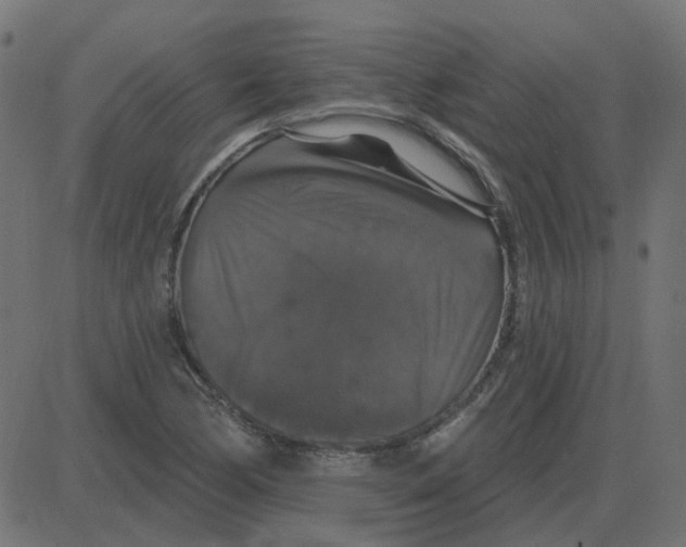 X0000087411170200705181350