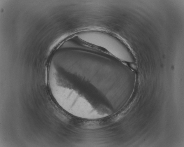 X0000087411171200705181350