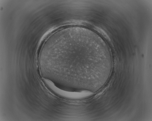 X0000087411172200705181350