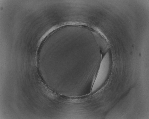 X0000087411173200705181350