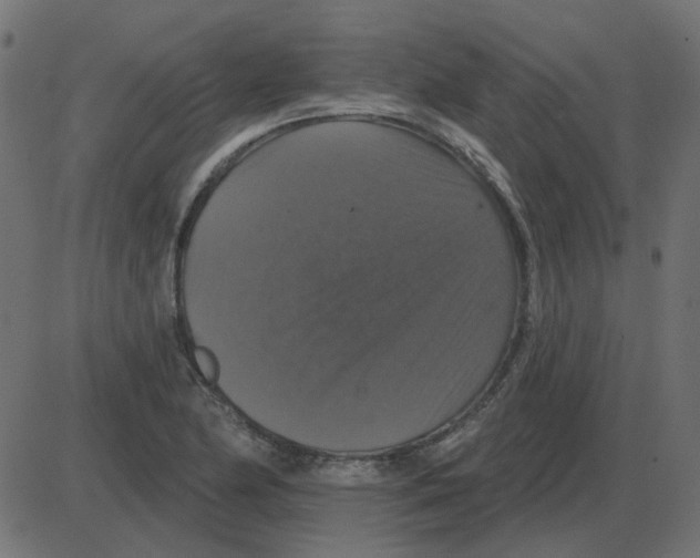 X0000087411174200705181350