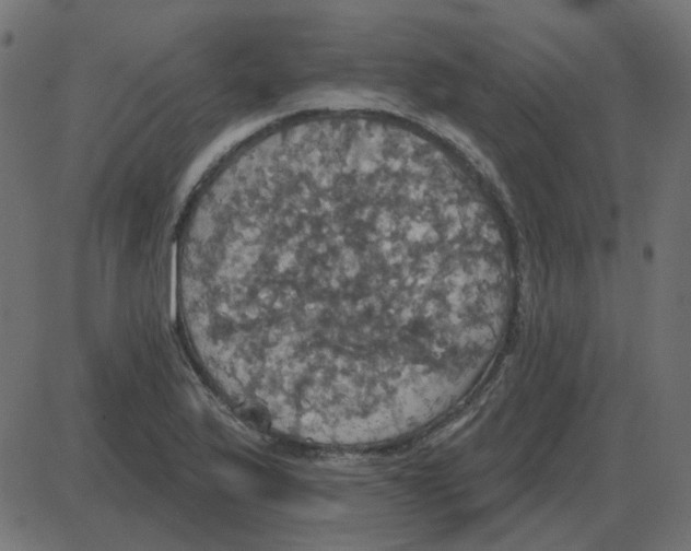 X0000087411175200705181350