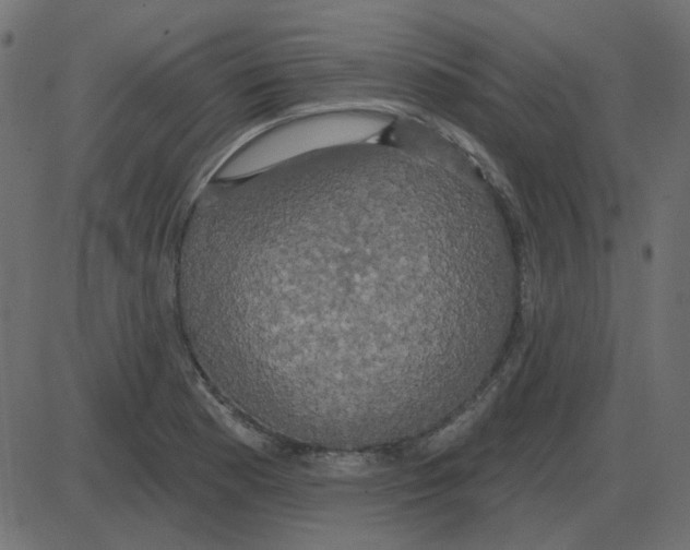 X0000087411177200705181350