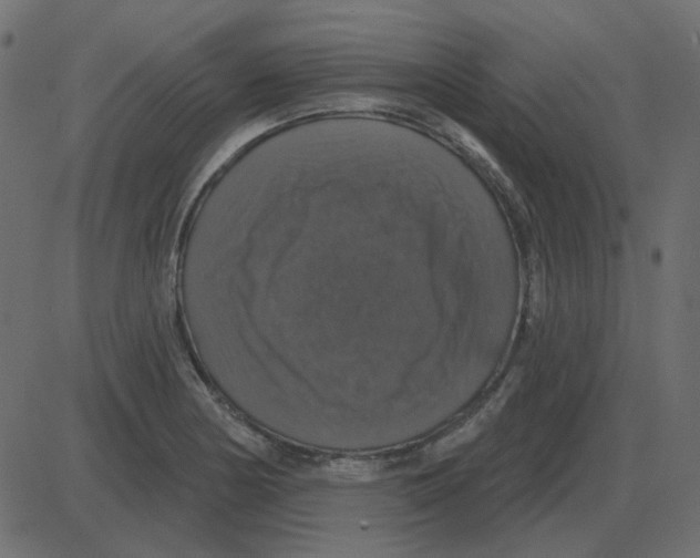 X0000087411178200705181350