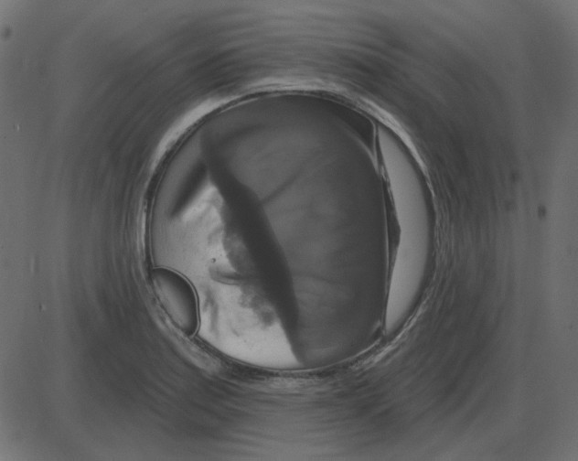 X0000087411179200705181350