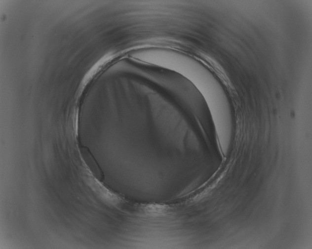 X0000087411180200705181350