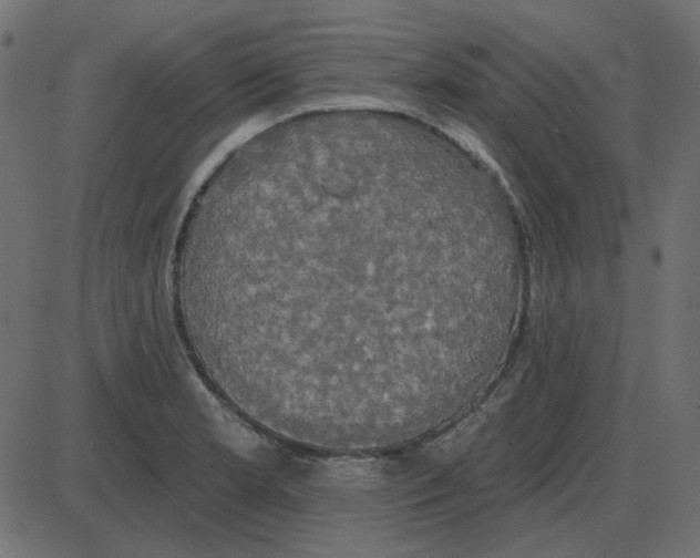 X0000087411181200705181350