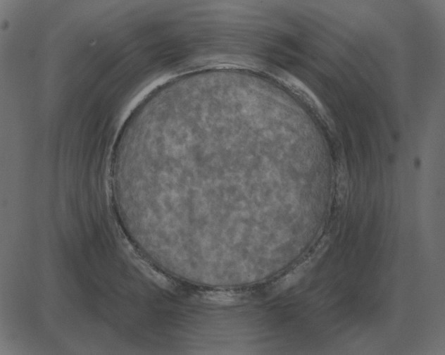 X0000087411182200705181350