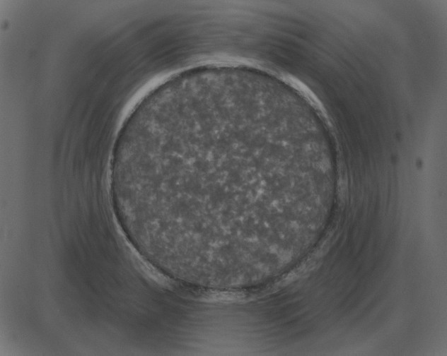 X0000087411183200705181350