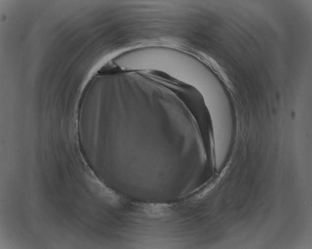 X0000087411184200705181350