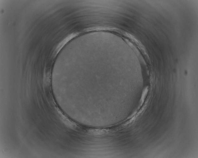 X0000087411185200705181350